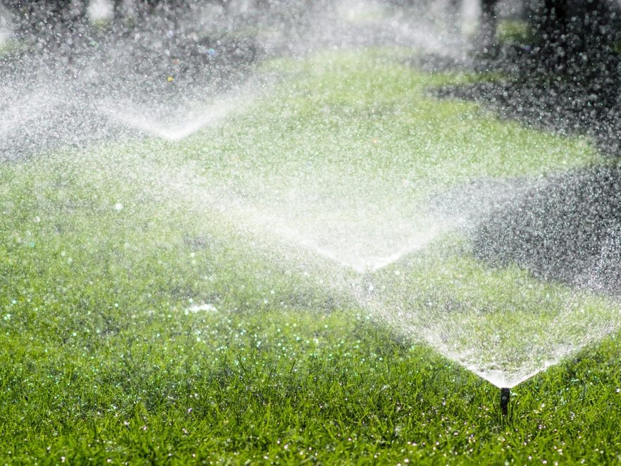 Lawn Maintenance Services