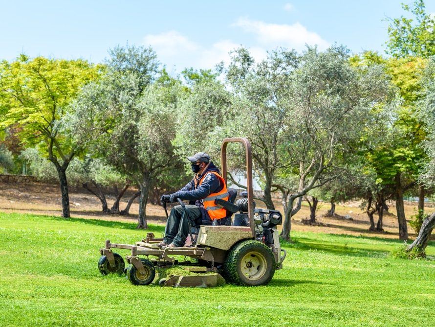 Lawn Maintenance Services