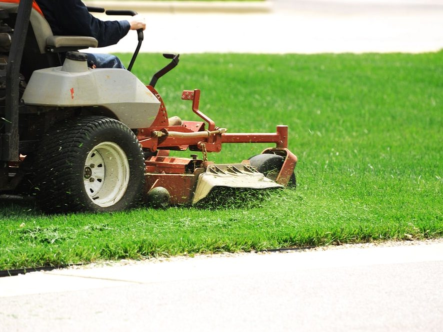 Lawn Maintenance Services